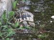 verstecken